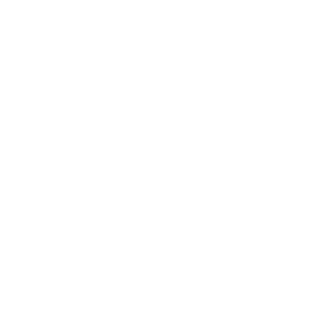 finance & accounting management reports